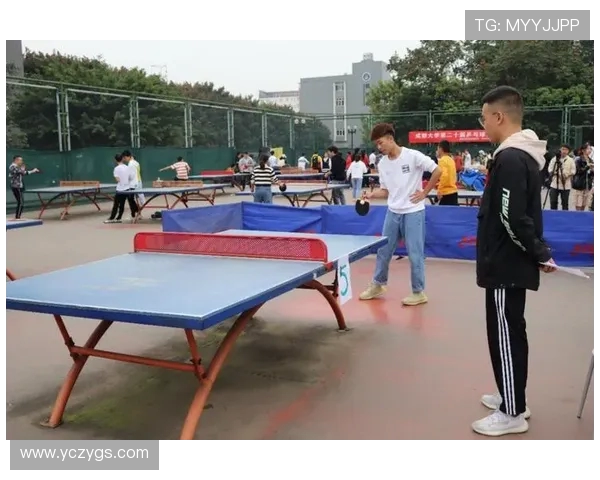 成都乒乓球队的阵地战解析与未来发展展望